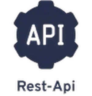 api Icon